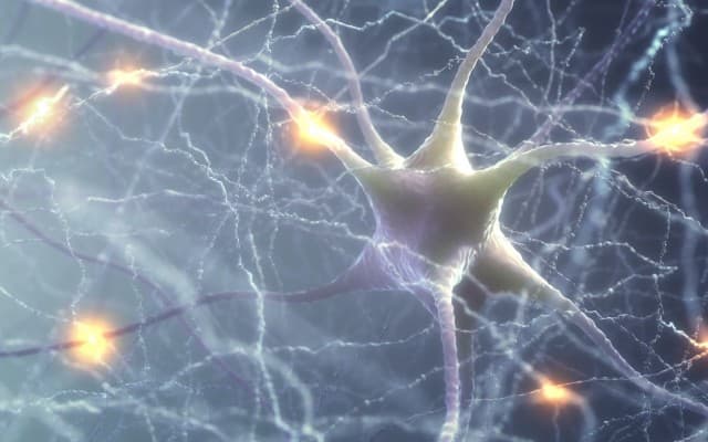 Actinogen Medical attracts US biotech investor as Alzheimer’s XanADu study remains on track