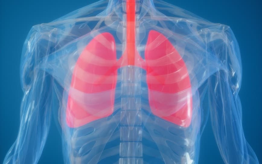 AdAlta’s AD-214 demonstrates safety and efficacy potential for fibrotic disease treatment