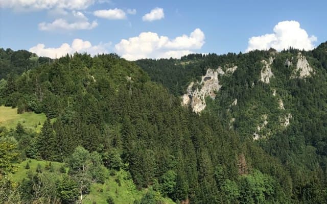 Adriatic Metals records thickest high-grade intercepts to date at Rupice polymetallic project