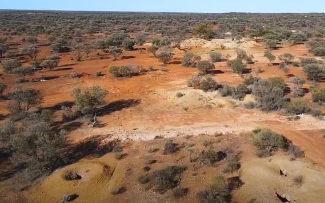 Airborne survey helps IRIS Metals identify high-priority targets at Kookynie gold project