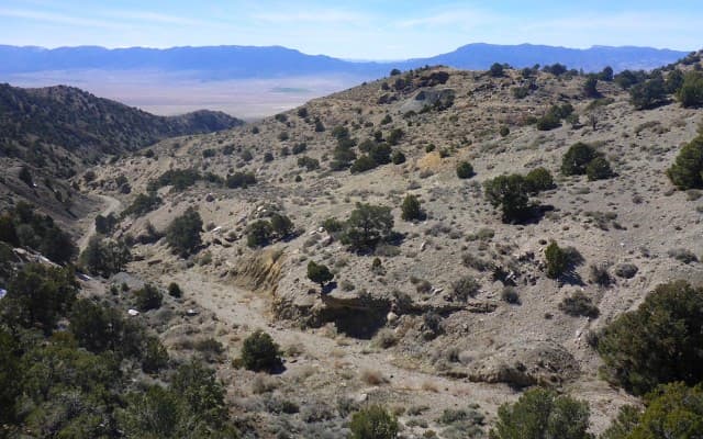 Alderan Resources expands gold footprint at Detroit with tenement acquisition