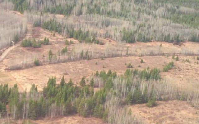 Allegiance Coal joins forces with Itochu to develop Tenas project