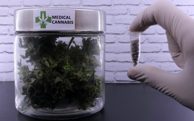 Althea continues medicinal cannabis industry expansion mission in Europe