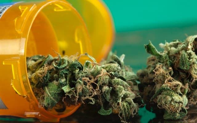 Althea gets set for German market expansion after executing supply agreement with Nimbus Health