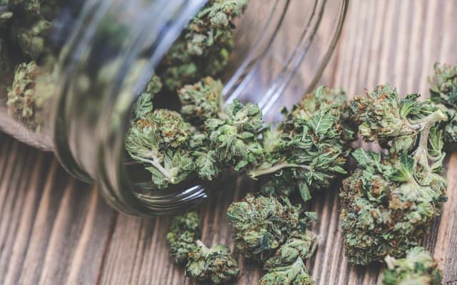 Althea Group bags record revenues as medicinal cannabis sales continue growing worldwide