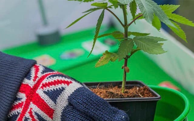 Althea’s MyAccess Clinics boosts UK expansion, teams up with Drug Science