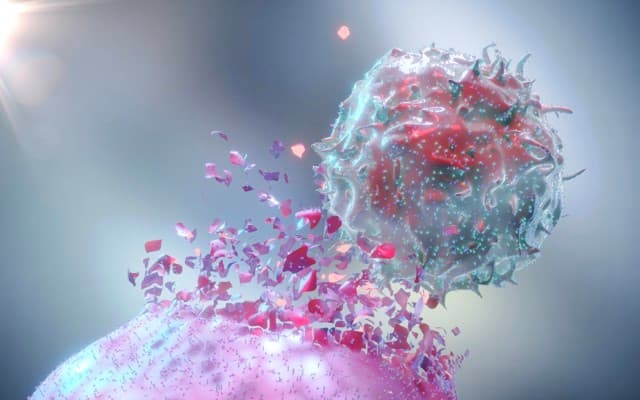Amplia Therapeutics says ‘priming’ a tumour could improve outcomes for patients with pancreatic cancer