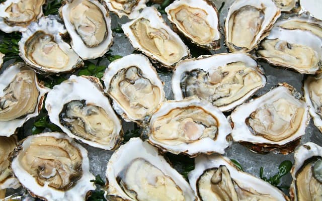 Angel Seafood posts record first-half oyster sales boosted by retail demand