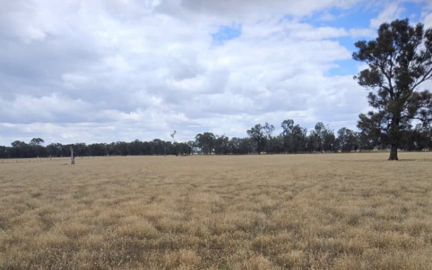 Australian Rare Earths sees major growth potential at Koppamurra with 27% MRE boost