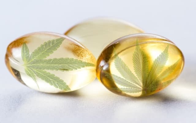 Avecho Biotechnology begins manufacturing CBD capsules for pivotal Phase III insomnia trial