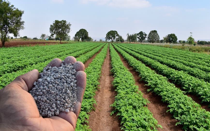 Avenira secures $7.56m investment from majority shareholder Hebang to advance Wonarah phosphate project