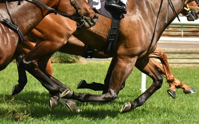 BetMakers and GVC Holdings form global racing partnership