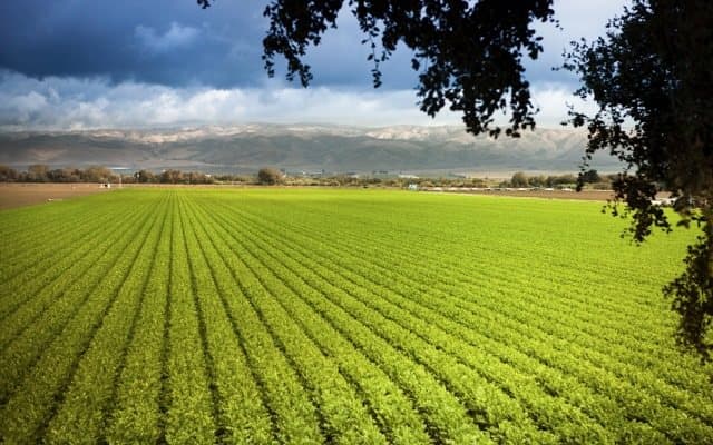 Bio-Gene serves up next generation of novel, environmentally friendly insecticides