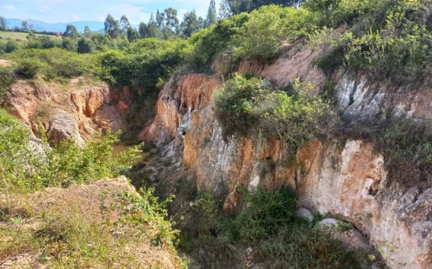 Blaze Minerals expands critical metals portfolio with proposed Gecko acquisition