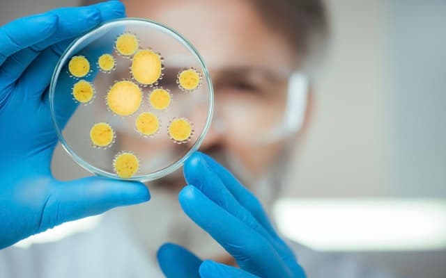 Botanix Pharmaceuticals receives FDA grant for antibacterial product BTX 1801