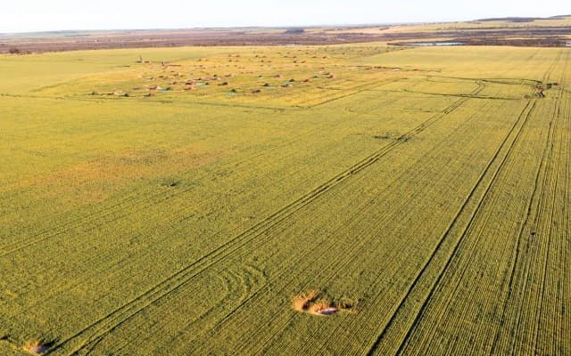 Caravel Minerals releases revised scoping study for namesake copper project