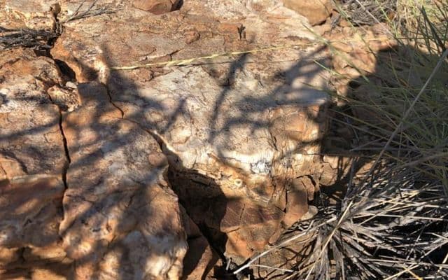 Carnaby Resources reveals up to 8.6% copper in Mount Birnie historical data