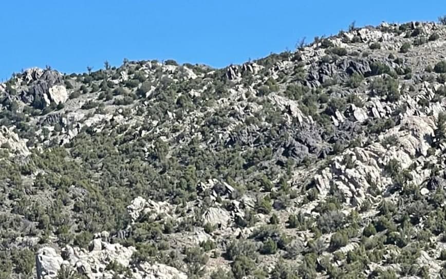 Chariot begins summer exploration program at Black Mountain hard rock lithium project