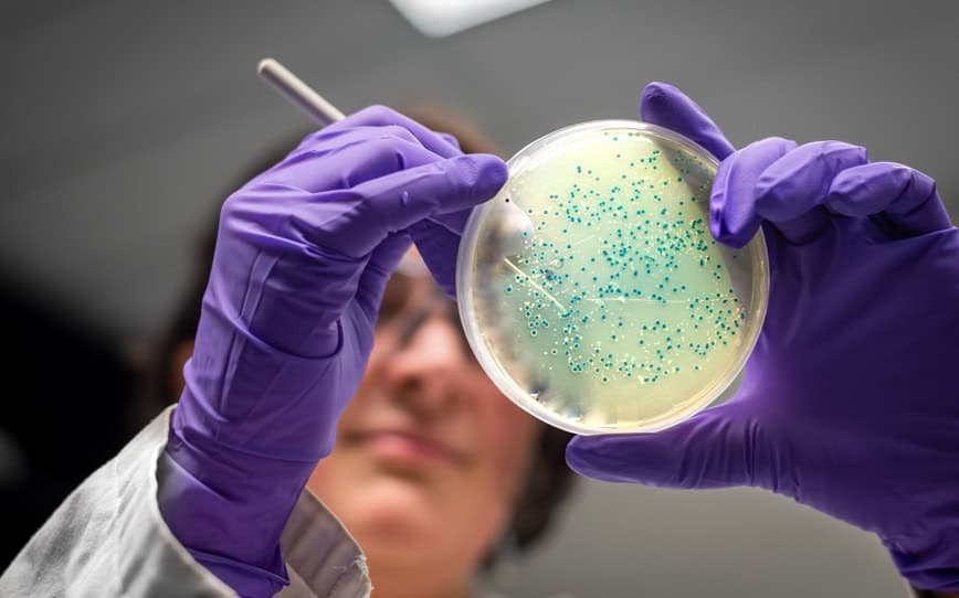 Clever Culture Systems wins second major order from AstraZeneca for APAS Independence instruments