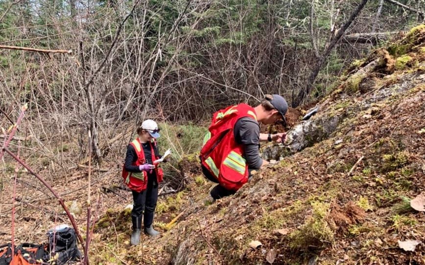 Critical Resources extends strike length at Mavis Lake lithium project