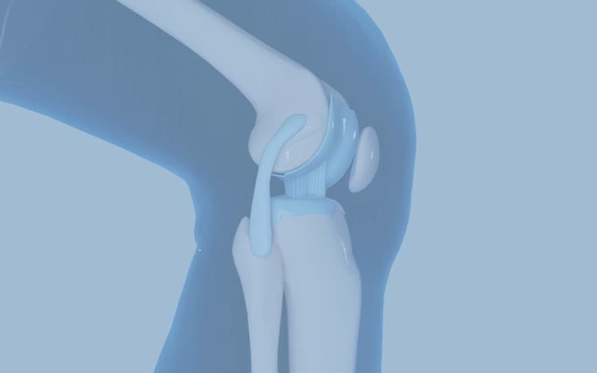 CurveBeam AI reveals strong revenue growth in maiden annual report