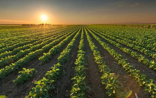 Danakali eyes finish line for Eritrea potash project