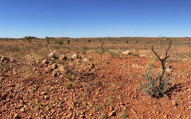 De Grey Mining hits high-grade, visible gold at latest Hemi target