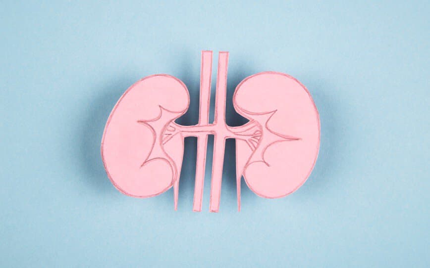 Dimerix secures deal to commercialise DMX-200 for treatment of rare kidney disease