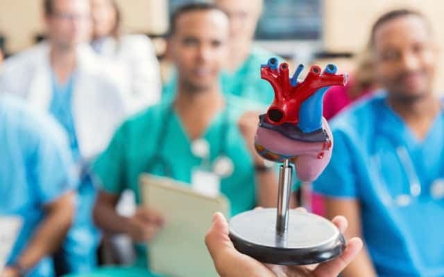 Echo IQ trial shows EchoSolv screening platform improves diagnosis of severe aortic stenosis