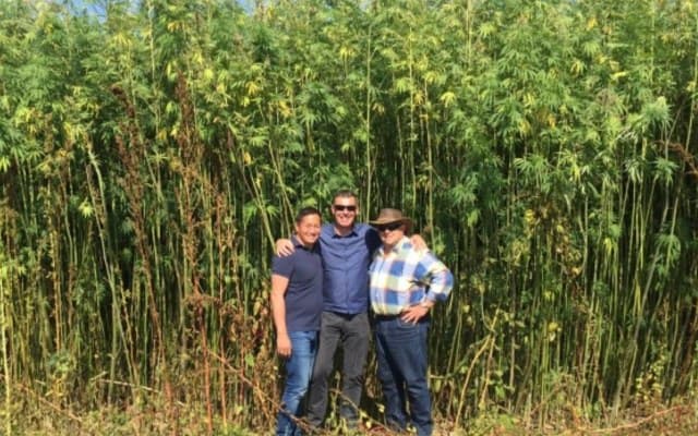 Ecofibre joins ASX to fast-track commercialisation of hemp-based products