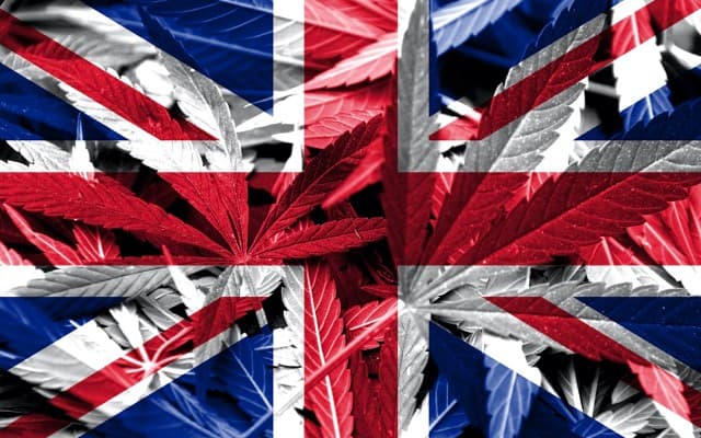 ECS Botanics makes first shipment of dried cannabis flower to UK