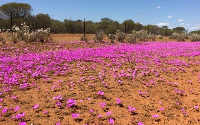 EganStreet Resources and Lion Selection Group welcome Silver Lake’s takeover bid