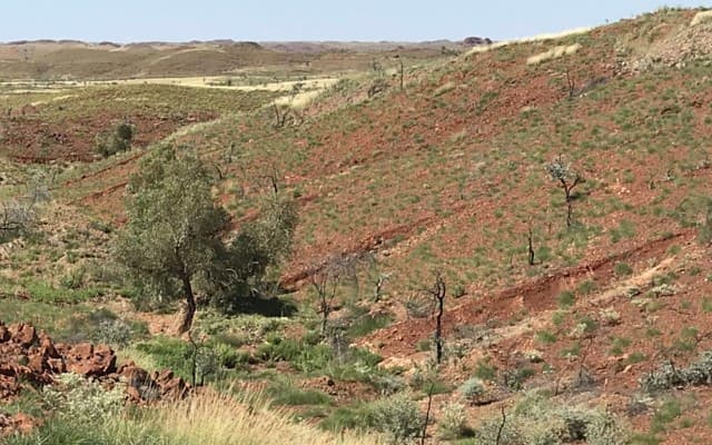 eMetals finds niobium, tin, tungsten anomalies at Nardoo Well