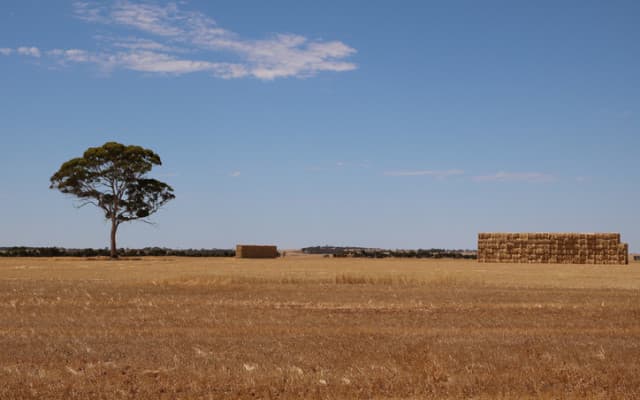 Explaurum digs into shallow gold at Mace shoring up WA’s new gold district
