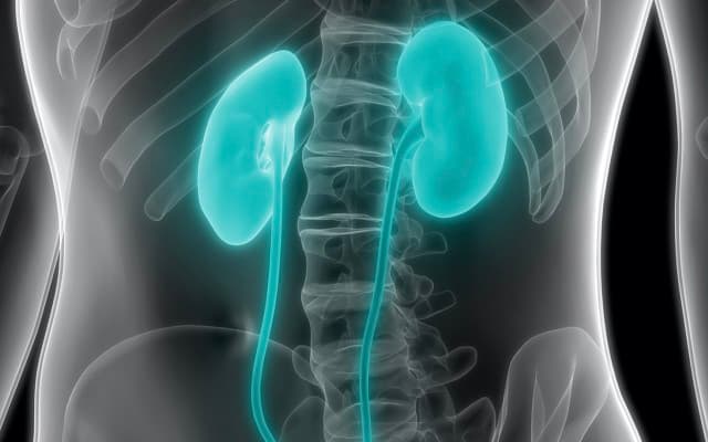 FDA grants Telix breakthrough therapy designation for renal cancer imaging product