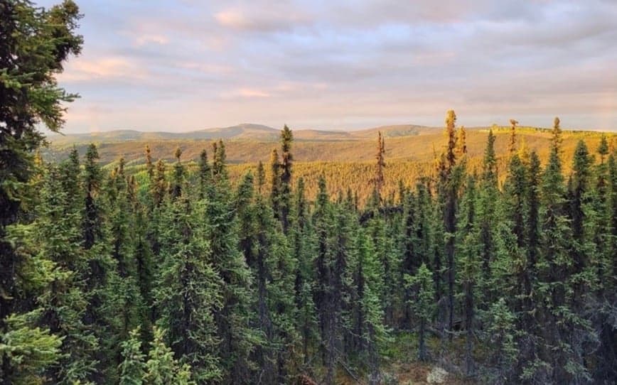 Felix Gold to raise $3m to accelerate exploration at Treasure Creek