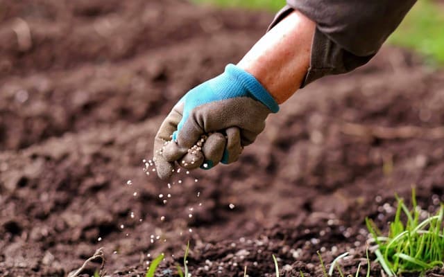 Fertiliser stocks surge as Russia suspends exports, Rio Tinto cuts ties, Zip continues to disappoint