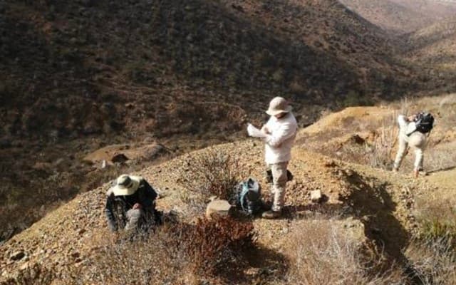 Freehill Mining discovers ‘huge’ potential copper structure at El Dorado from IP survey