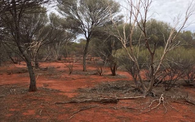 Gateway Mining’s partner DiscovEx confirms bedrock gold at Spartan