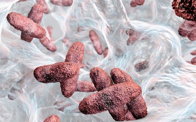 Genetic Signatures receives approval to market superbug detection kits in Australia