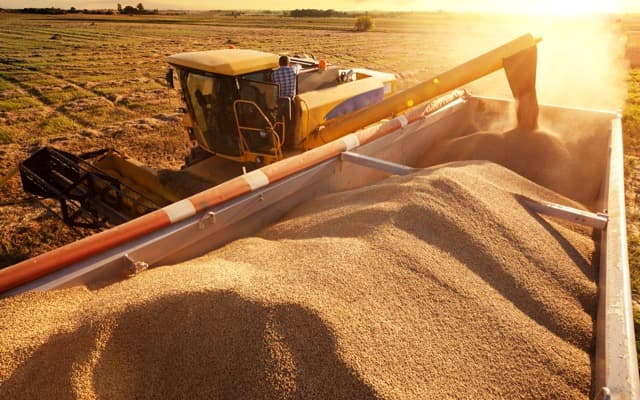 GrainCorp’s exports face delays, Mineral Resources opens off-market takeover bid for Norwest Energy and Magellan shares plummet