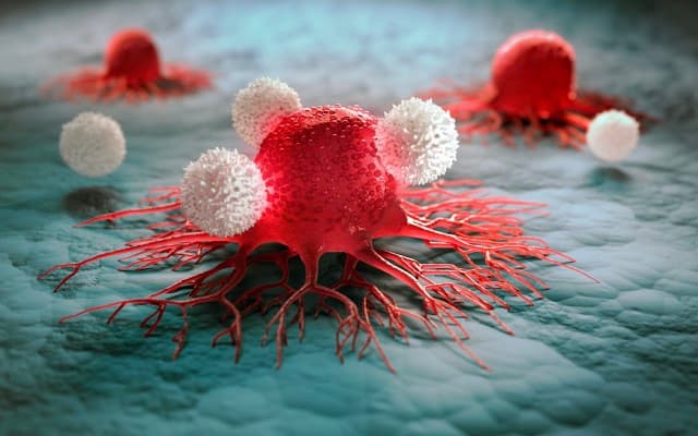 Immutep announces improved results in two parallel clinical trials into lead drug eftilagimod alpha