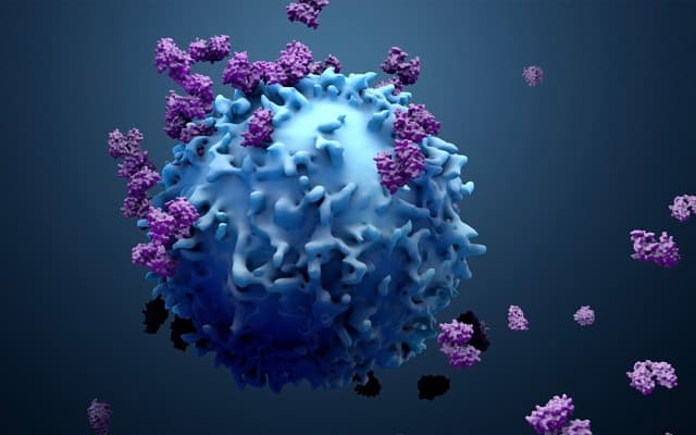 Immutep publishes interim results for two ongoing studies, scoops $3.6 million in R&D grant