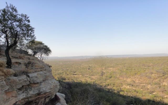 Impact Minerals secures new ground to expand WA nickel-copper-PGE portfolio