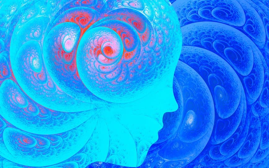 Incannex Healthcare to prepare FDA application for psilocybin-assisted psychotherapy program