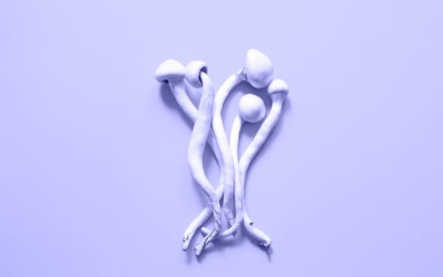 Incannex’s psychotherapy study delivers ‘significant’ benefits