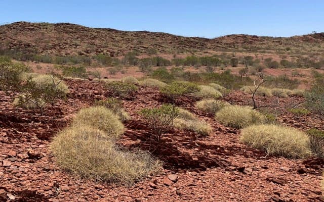 Kingfisher Mining to begin ASX trade following oversubscribed IPO