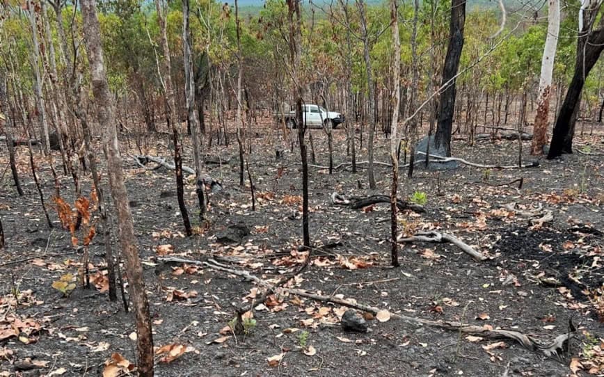 Kingsland Minerals achieves breakthrough graphite quality in testing at Leliyn project