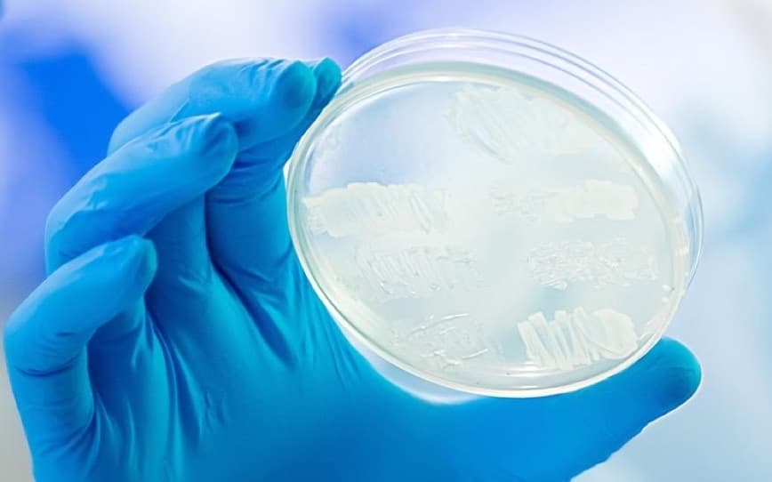 LBT Innovations confirms APAS PharmaQC ready for sale to global biopharma markets