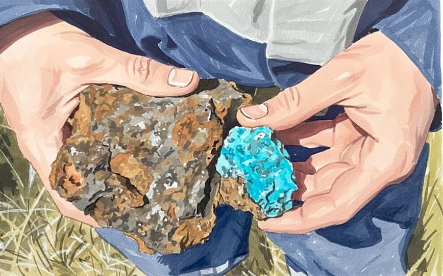 Litchfield Minerals Uncovers 100m of Copper-Zinc Mineralisation at Oonagalabi Project